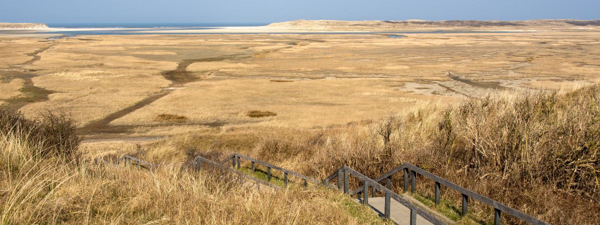 Banjeren door de slufter - WOUD Texel Banjeren door de slufter - WOUD Texel Banjeren door de Slufter Texel heeft een paar bekende iconen die tot de verbeelding spreken. De Slufter is er absoluut ééntje van. Dit natuurgebied aan de westk...