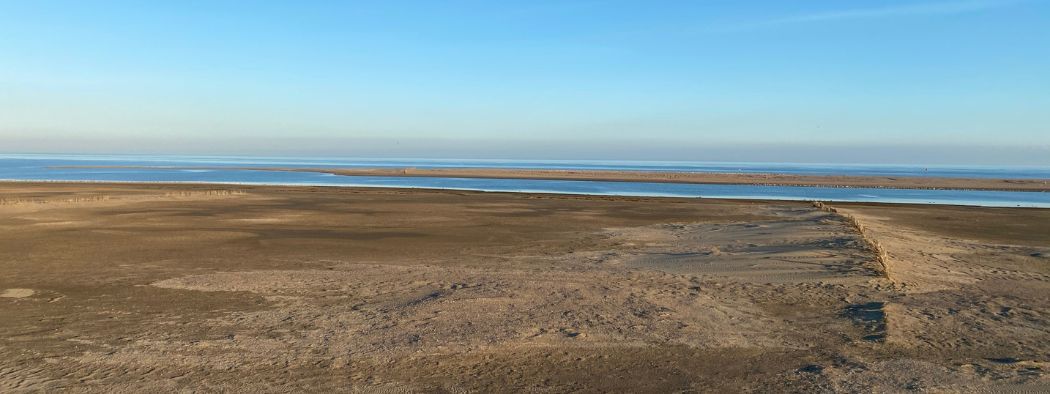 Toeren over Texel: de Prins Hendrikzanddijk – WOUD Texel Toeren over Texel: de Prins Hendrikzanddijk – WOUD Texel Achtung: Lämmer-Alarm auf Texel! Findest du sie auch so süß? All die herumtollenden Lämmer auf den Wiesen? Mit ihren vier Beinen in der Luft machen sie die verr...